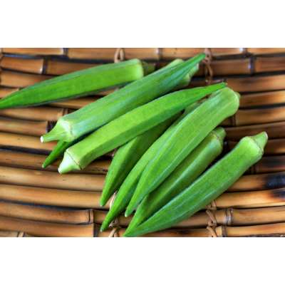 New Crop Fresh Frozen Okra