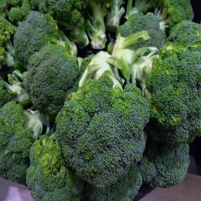 Fresh Broccoli