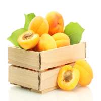 Yellow Peach halve Canned Peaches Half Preaches